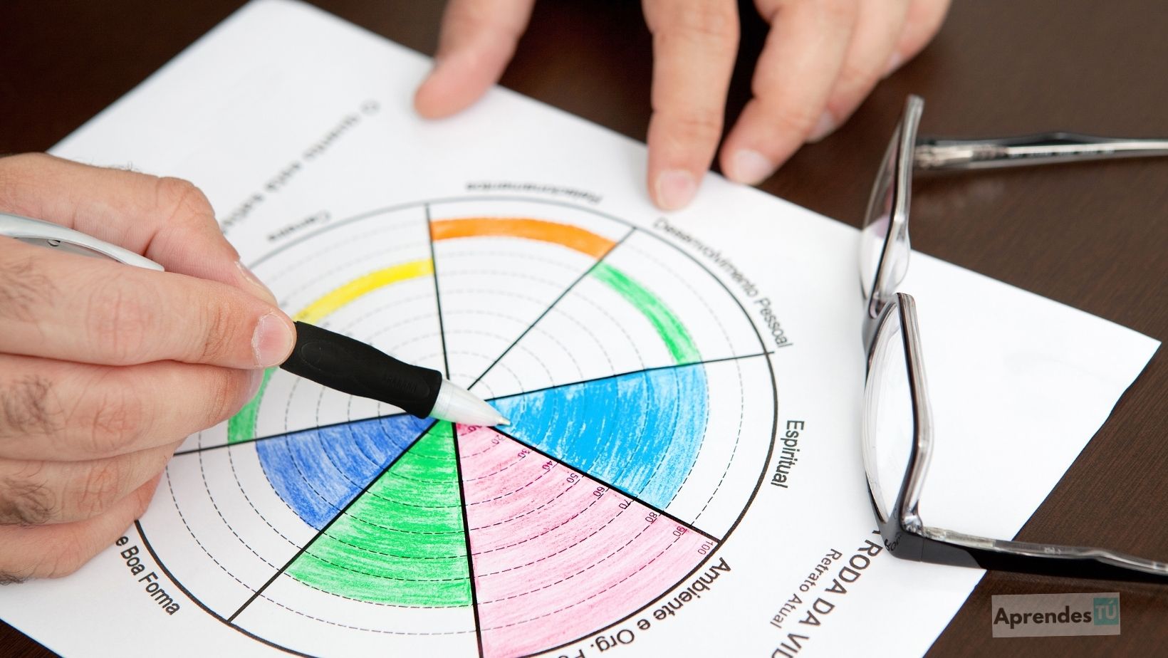 La Rueda de la Vida. Un Mapa para Rediseñar tu Presente y Crear tu Futuro.